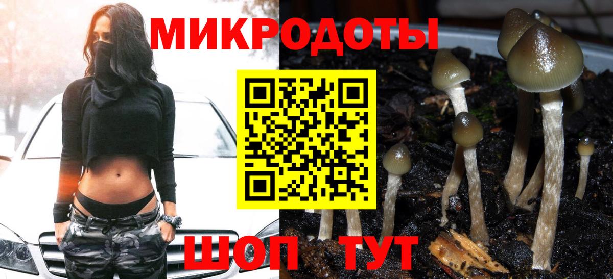 Галлюциногенные грибы Magic Shrooms Кудымкар